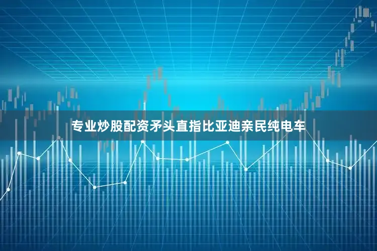 专业炒股配资矛头直指比亚迪亲民纯电车