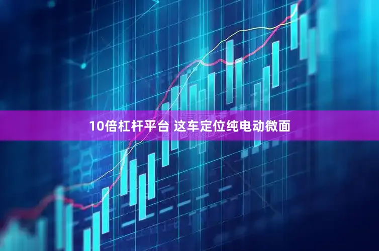 10倍杠杆平台 这车定位纯电动微面