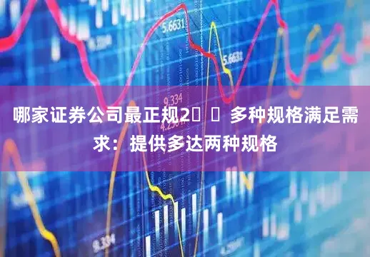 哪家证券公司最正规2️⃣多种规格满足需求：提供多达两种规格